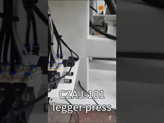 Presses à vapeur de blanchisserie pour hôtels et fabricants de vêtements