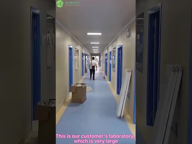 SUS304 H14 Filter 99.9995% 0.3μm Class 100 Laminar Flow Hood for laboratory