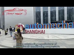 Automotive Air Conditioner Compressor Parts For Universal For TM16 2A 12V WXUN036