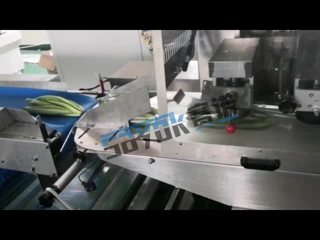 Reciprocating машины упаковки овоща 3KW и плода горизонтальный