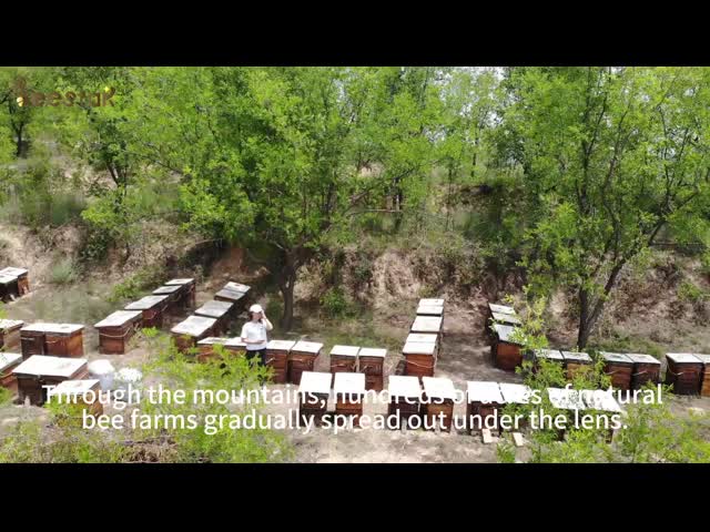 Durable Plastic Double Frames Talian Queen Bee Rearing Controler