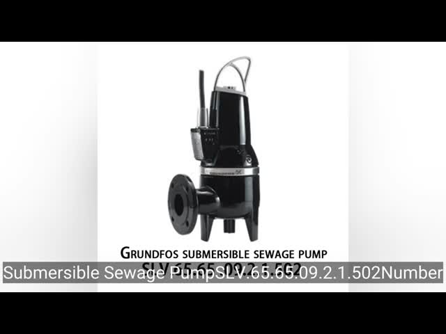 Grundfos SLV 非自己吸入 単段式遠心ポンプ 下水処理 生産 水 未濾過 生ゴミ