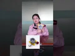 ATEX/UL/SIL3 Certified K800 Fixed Gas Transmitter 4-20mA Modbus Explosion Proof Exd II CT6 IP Protection