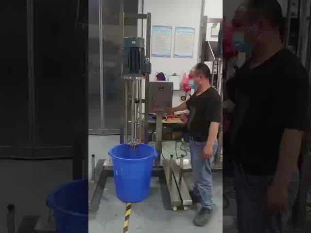 316SS Head High Shear Homogeniser With Siemens Motor 2.2KW 4KW