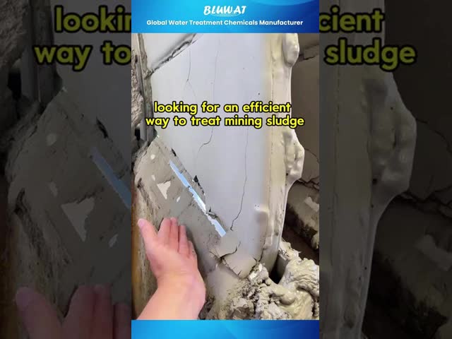 Blufloc Polyacrylamide High-Performance Flocculant for Mining Industrial Wastewater Water Reuse