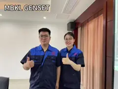 Plant Use Soundproof  68KW 85KVA Volvo Diesel Generators Silent type