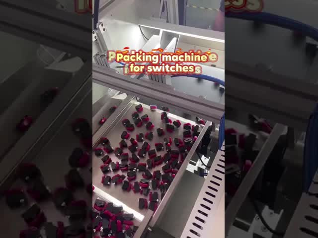 500KG Automatic Vision Counter Screw PE Packing Machine Professional Durable