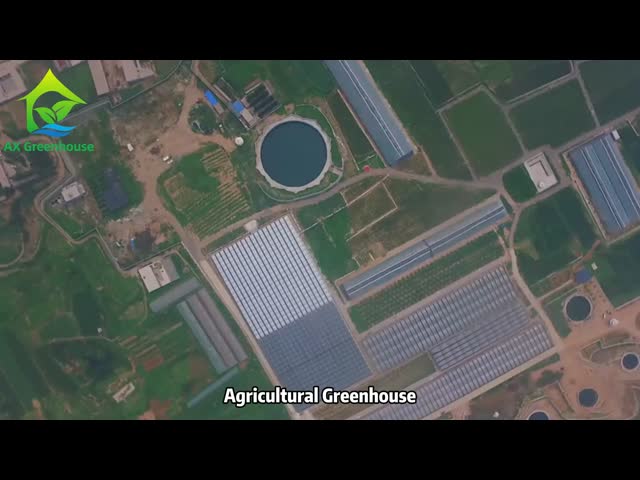 Agricultural Large Tunnel Custom Venlo Multi-span Tempered Glass Greenhouse