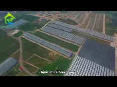 Agricultural Large Tunnel Custom Venlo Multi-span Tempered Glass Greenhouse