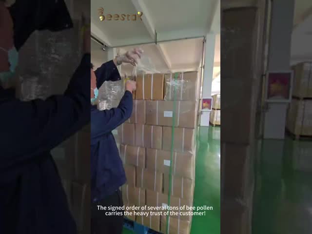 大量の自然な蜂蜜の未加工蜂の花粉の粒状の純粋な蜂の花粉の蜂の食糧