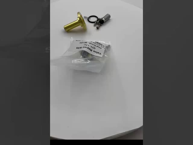 Armature M1177 Pilot Plunger For Goyen Valve CA-40TK Repair Kit Brass NBR FKM Material