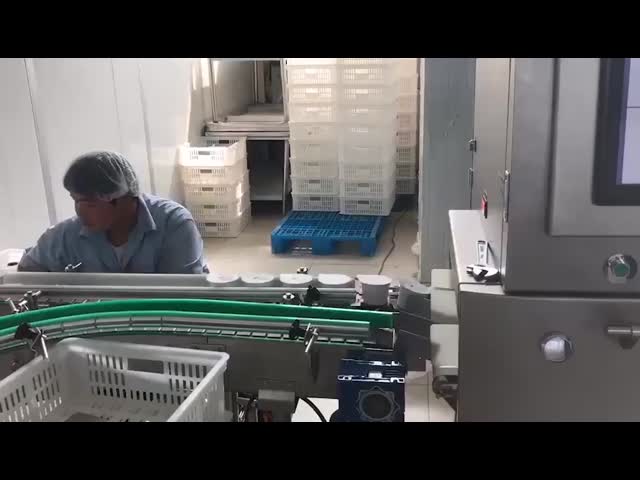 化学無鉛IP66食糧X光線の検査システム