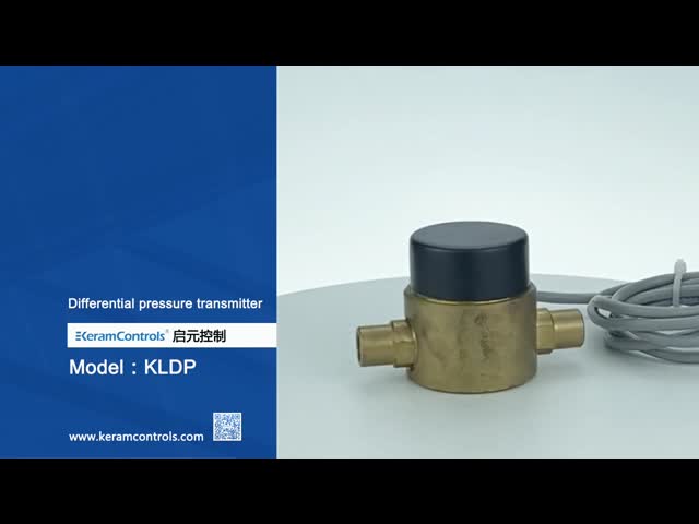 OEM 24V Liquid Differential Pressure Sensor 4-20mA 17 Bar