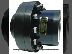 Self Contained Sprag Type Centrifugal One Way Overrunning Clutch