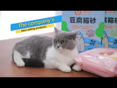 China ODM Tofu Cat Litter Near Me Customized Biodegradable Cat Litter Flushable supplier