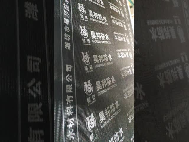 10m 長さ Sbs 性能維持時間30分のために改造されたビツムネス膜屋根