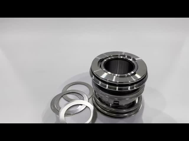 Flygt 3127のカートリッジ機械シール35mmのSUS304ばね