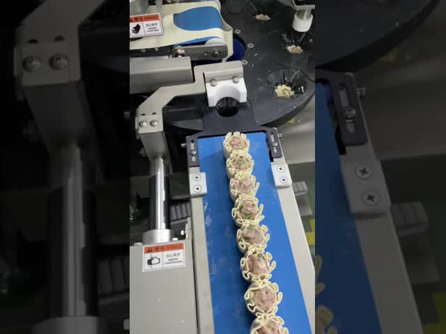 10個/分 シオマイ ウォントン 機 ダンプリング 機 ギョザ 製造 機 CE