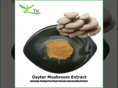 100% प्राकृतिक ऑसिटर मशरूम निकालने पाउडर Pleurotus Ostreatus निकालने