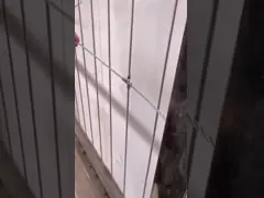 Schutz-Sicherheits-Edelstahl-Draht-Grill-Aluminium für den Balkon-unsichtbaren Grill