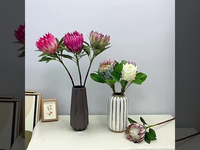 春色のシミュレーション 王花の撮影シーン 皇帝花の家 偽りの花の飾り 結婚式 王花のシミュレーション 花