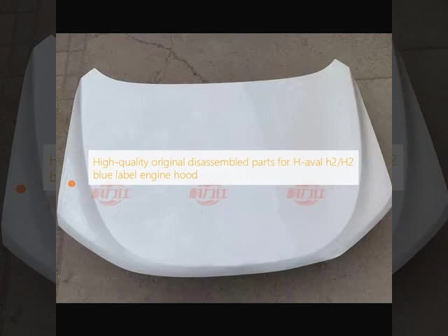 H-aval h2/H2 ブルーラベルのエンジンハッドのための高品質のオリジナル・デモンストレーション部品