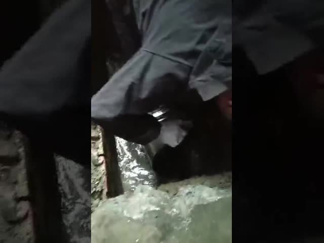 水道パイプ接続プレートタイプ ダブルカード延長パイプ 修理クランプ ステンレス鋼 TUV