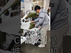 Laveuse à vapeur presses utilitaires machine à pressage de champignons équipement écran tactile
