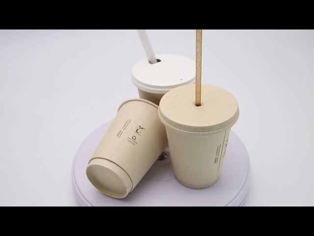 540ml ダブル 壁紙 カフェカップ OEM 冷酒 使い捨て 16オンス ダブル 壁カップ