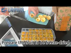Équipement à la maison de lyophilisateur de fruit de dessiccateur de gel de vide 4KG/groupe