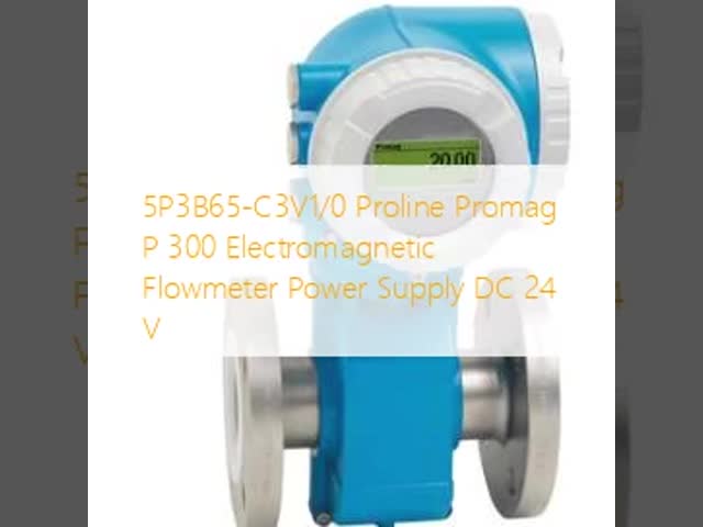 5P3B65-C3V1/0 プロリン プロマグ P 300 電磁流量計 電源 DC 24 V