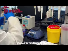 China Rapidly BeaverBeads Blood DNA Kit For Laboratory Use supplier