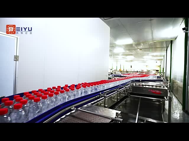 24000BPHボトル水生産ラインのためのボトルコンベアシステムコンベアライン