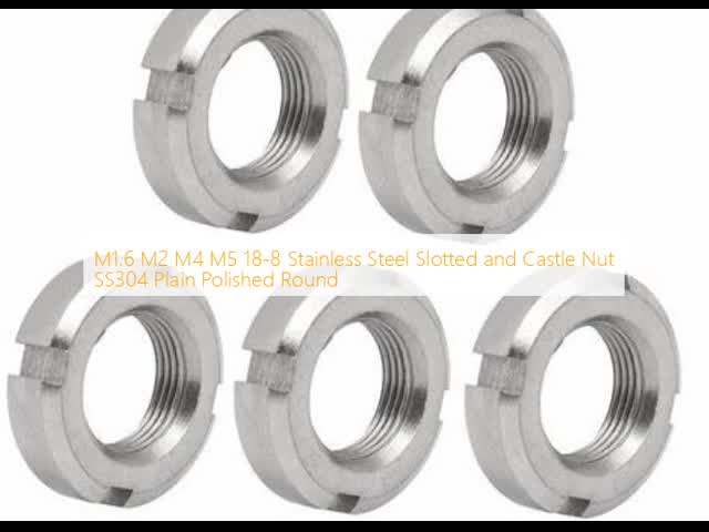 M1.6 M2 M4 M5 18-8 ステンレス鋼 スロットとキャストナッツ SS304 シンプル・ポーリング丸