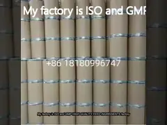 China Feed Complex Clostridium Butyricum Bacillus Licheniformis For Animals Dairy Cattle Sheep Probiotics supplier