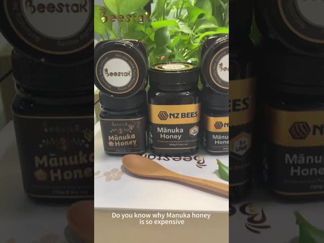 卸売 高品質 100% 自然 純 灌木林 蜂蜜 添加物なし 自然 ミツバチ 蜂蜜