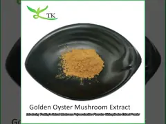 प्राकृतिक मशरूम सप्लीमेंट Pleurotus Citrinopileatus गोल्डन ऑयस्टर मशरूम एक्सट्रैक्ट पाउडर