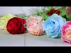 Simulação de casamento de peônia e decoração de casa de rosas simuladas