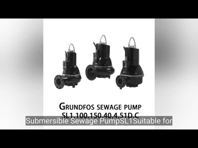 SL1.100.150.40.4.51D.C Sewage Pump For Industrial Waste Water Rated Flow Rate 195 L/S Maximum Working Pressure 10bar