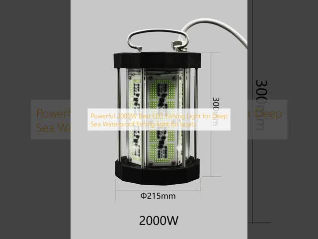 強力な2000W 最良のLED漁光 深海のための水性漁光 ボートのための水性漁光