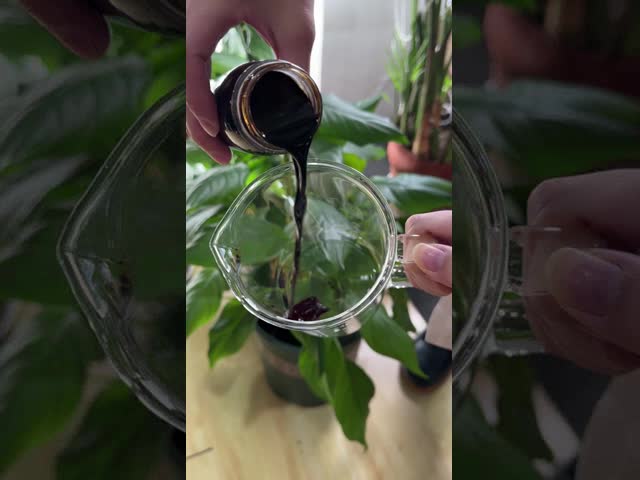 天然有機鉱物 富んだメラッサ 発酵濃縮肥料