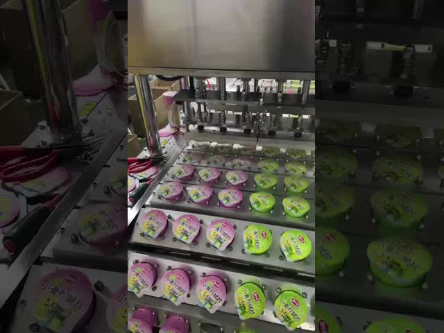 CO2 フライレーザーマーキングマシン 30W 40W 60W 電子/医薬品用