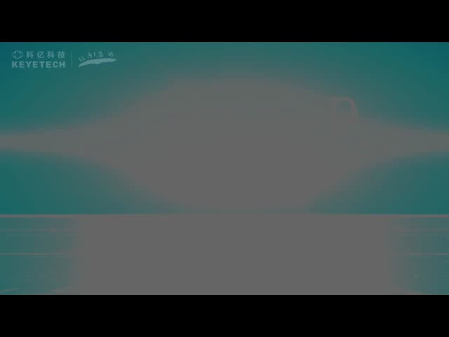 Automated Vision Inspection AVI Machine for Garment accessories buttons Testing