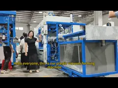 Fully automatic Seedling Tray Plastic Vacuum forming Machine