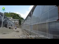 China SS430 SS304 Agricultural Exhaust Fans Wet Wall Greenhouse Cooling System supplier