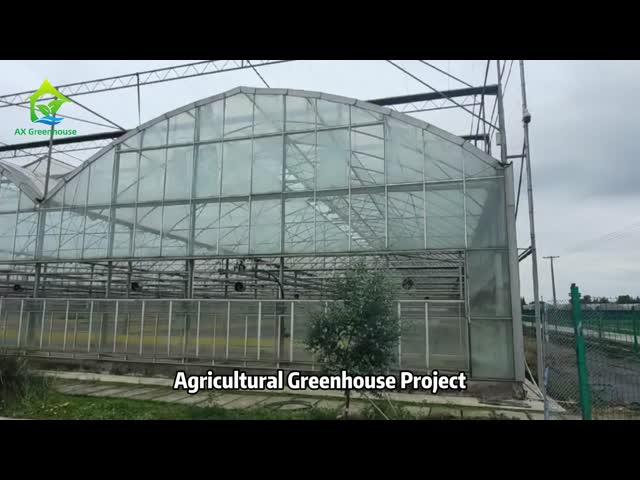 Clear White Multi-span Galvanized Steel Agricultural Glass Greenhouse