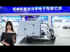 ODM Electric Cargo Refrigerated Tricycle For Logistics Transportation