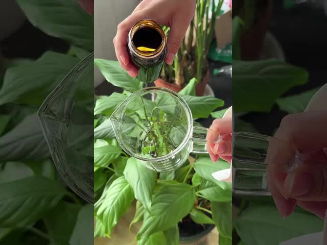 自然で吸収しやすい酵母酵母濃度 JM-Y1