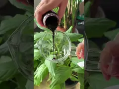 Natural And Easily Absorbed Yeast Fermentation Concentrate JM-Y1