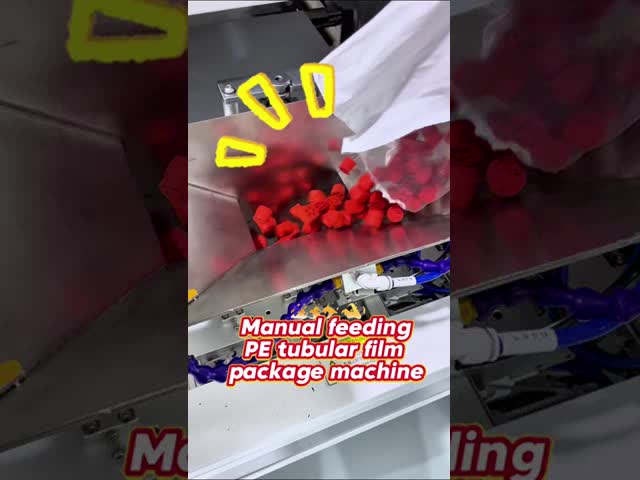 Touch Screen Vacuum Pouch Packing Machine For Sealing Ring PE Tube Film Packing